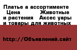 Платье а ассортименте › Цена ­ 250 -  Животные и растения » Аксесcуары и товары для животных   